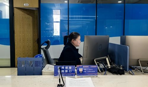 沙坪坝区信用修复咨询窗口正式启用 网络技术服务助力信用重建